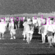 Wrongful Arrest Exposes Failures in One of the Oldest Police Face-Recognition Tools in the US